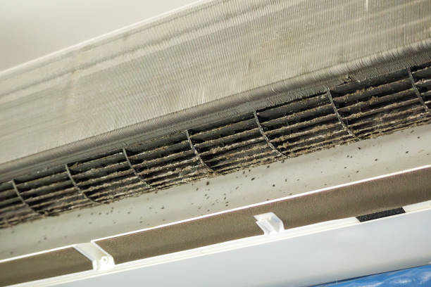 Best Air Duct Cleaning Near Me  in San Marcos, TX